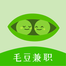 毛豆兼职