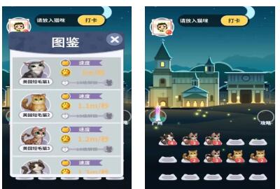 神奇招财猫红包版