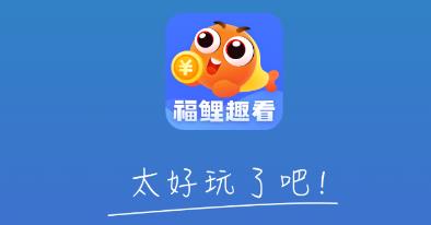 福鲤趣看