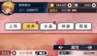勇士与梦想大陆马尔蒂娜攻略，平民最容易接触的SSS输出角色