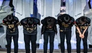 RNG8强止步，骄兵必败还是浴火重生？