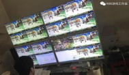 地下城搬砖工作室2019，浅谈新人入坑的是否值得