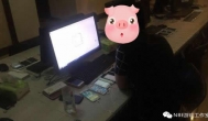 脱坑转型中.....聊聊游戏工作室、老A与NBE游赚网