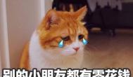 游戏赚钱app哪个最靠谱？微信提现的推荐