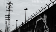 大学生奋斗在工作室这条不归路上（外篇）