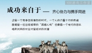 天马行空--英雄联盟LOL与带队做项目