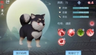 浮生为卿歌怎么抓高级宠物，去哪里比较好（坐标）